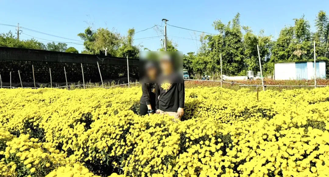 女生選對象，一定要找旗鼓相單的才幸福嗎？（示意圖，非當事人／桃園市中壢區美滿服務中心提供）