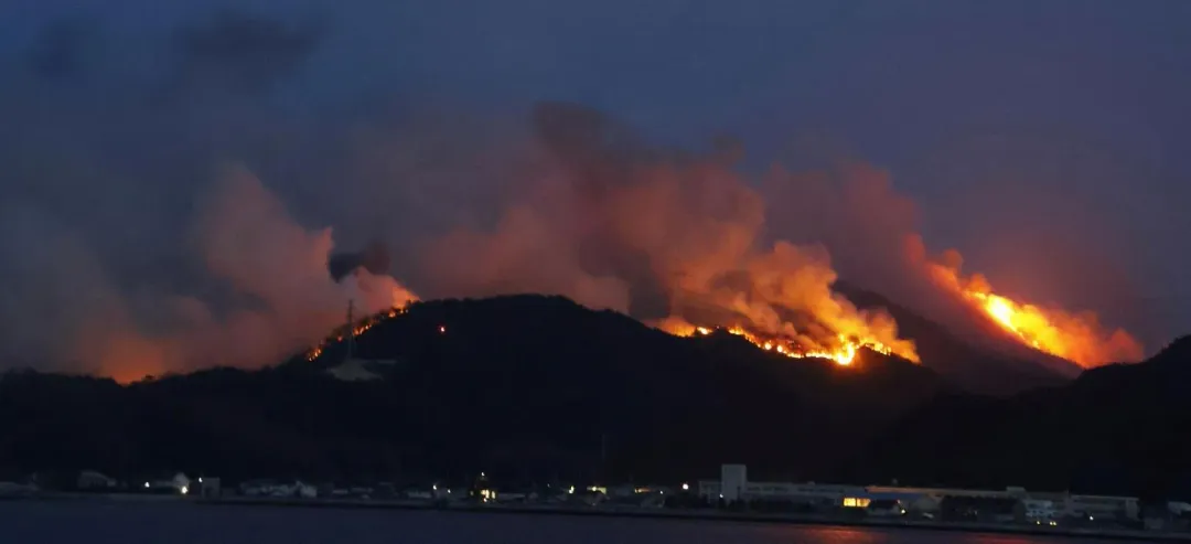 岡山縣23日突發森林火災。(圖/美聯社)