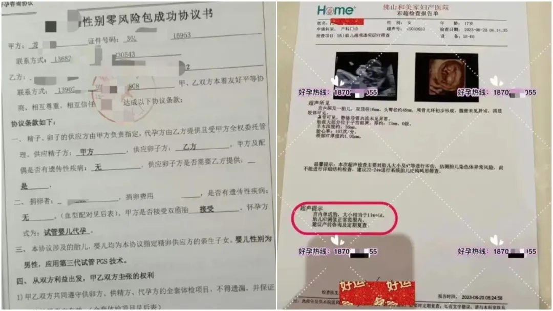 代孕協議書和產檢單。(圖/翻攝微博)