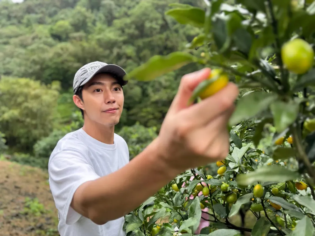 蔡凡熙為了金棗賣萌。（圖／華視 提供）
