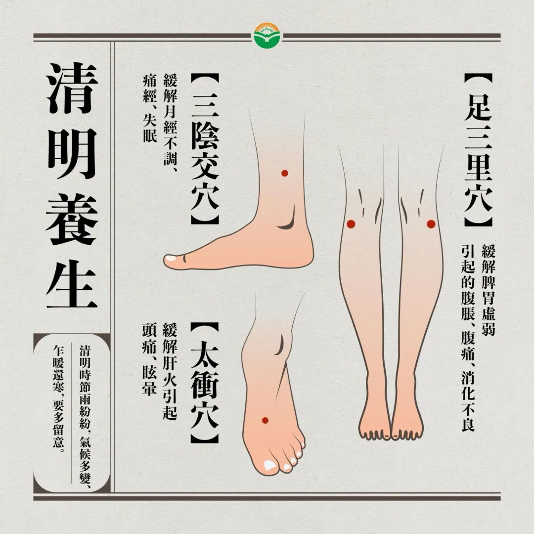 陳柏太也建議民眾，日常按摩以下穴位可以幫助疏肝理氣、健脾和胃。（圖／陽明馬光中醫診所）