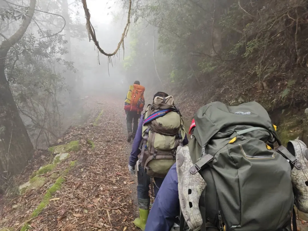 中央山脈南三段再傳狀況，女山友高山症搭身體不適，今早搭直升機順利獲救。（圖／翻攝畫面）