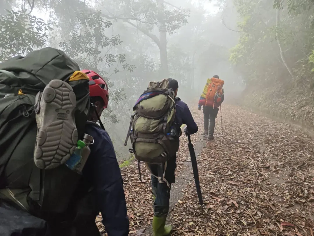 中央山脈南三段再傳狀況，女山友高山症搭身體不適，今早搭直升機順利獲救。（圖／翻攝畫面）