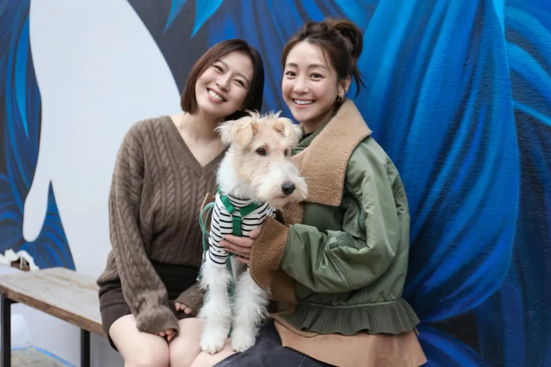 謝欣穎(右)先前帶愛犬Cooper(中)上劉品言(左)主持的節目。(圖/鏡電視提供)
