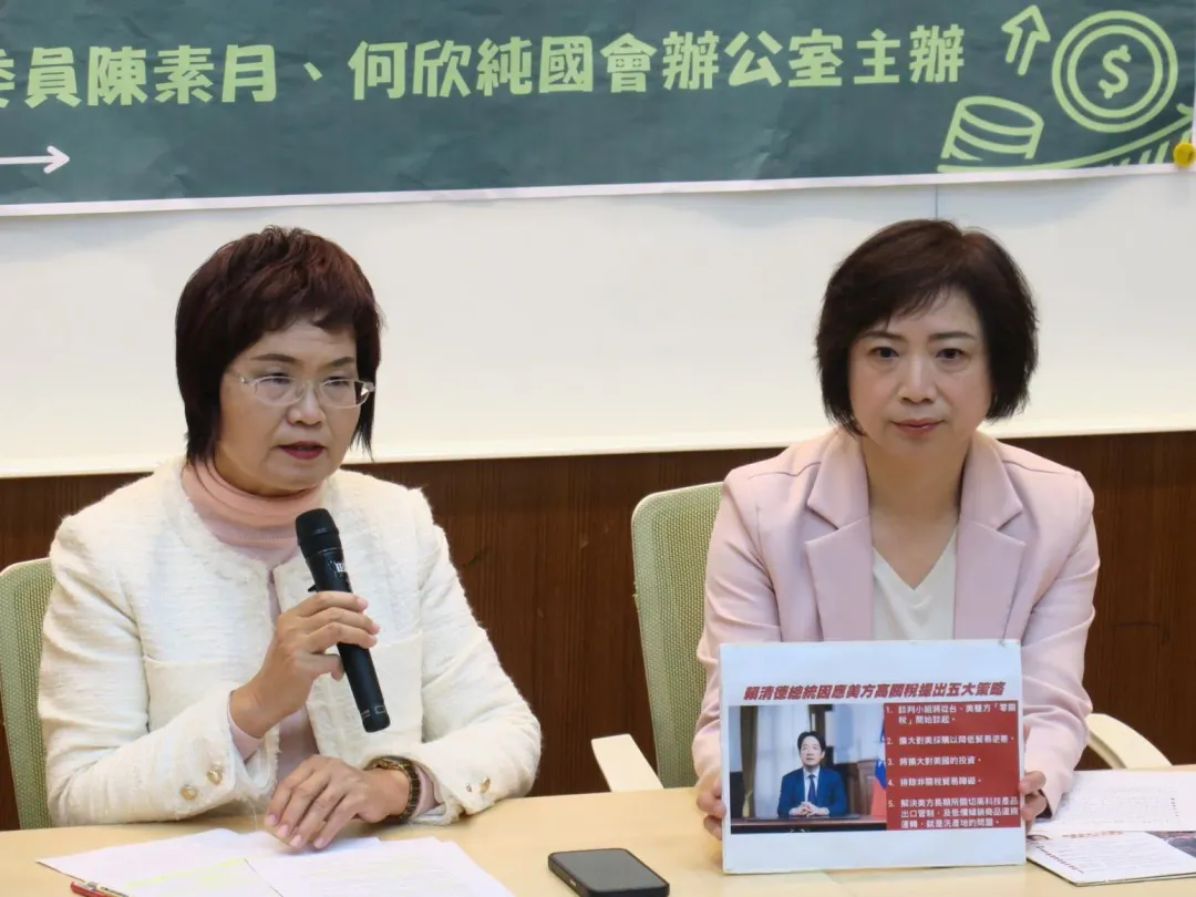 民進黨立委陳素月、何欣純。（圖／立委辦公室提供）