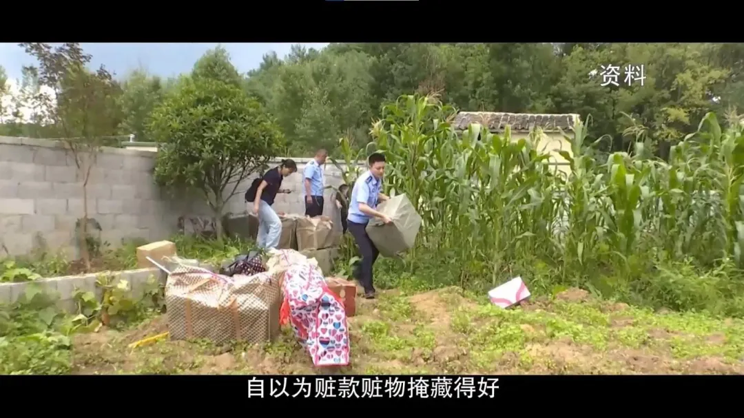 管慶良藏贓款和贓物的玉米田最後被發現。（圖／翻攝貴州網絡廣播電視台）