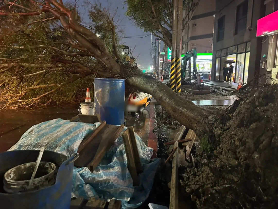 新竹市3月初因遭遇強降雨導致路樹倒塌，一輛法國進口限量版機車遭路樹壓毀。（圖/新竹市政府提供）