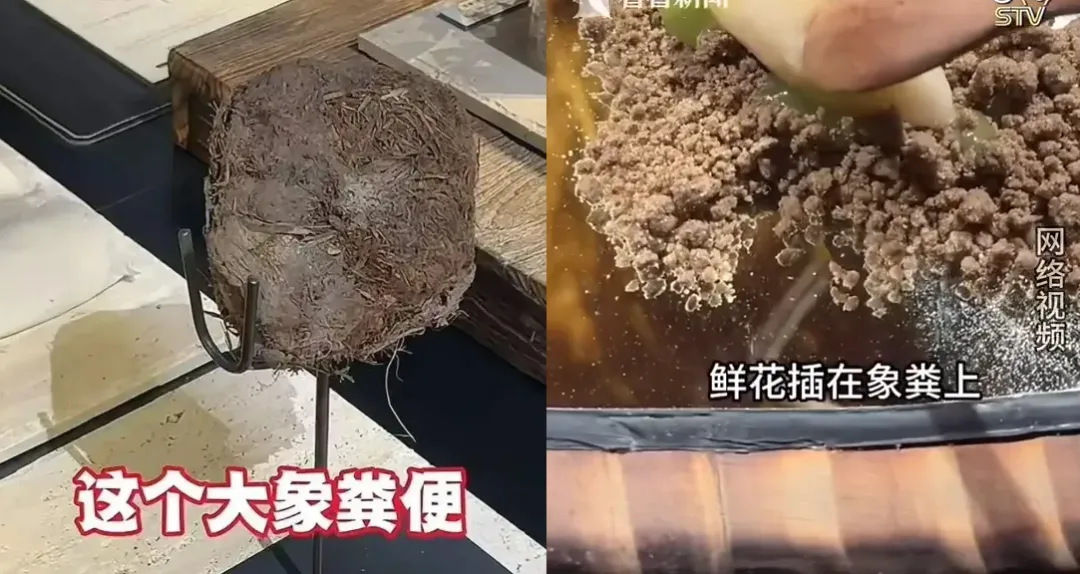 該餐廳會端上一道號稱用大象糞便製作的甜品。（圖／翻攝微博）