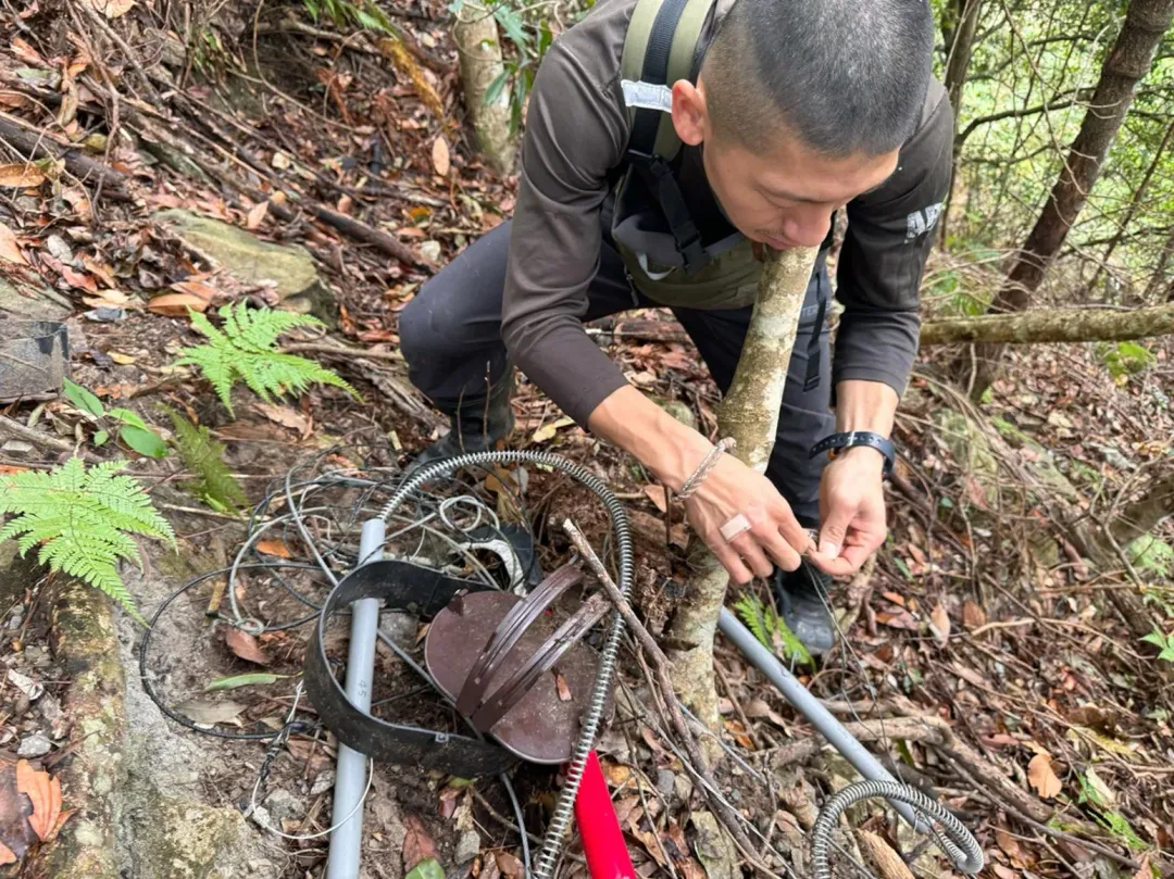 不明獵具清除作業。（圖／林業保育署台中分署提供）