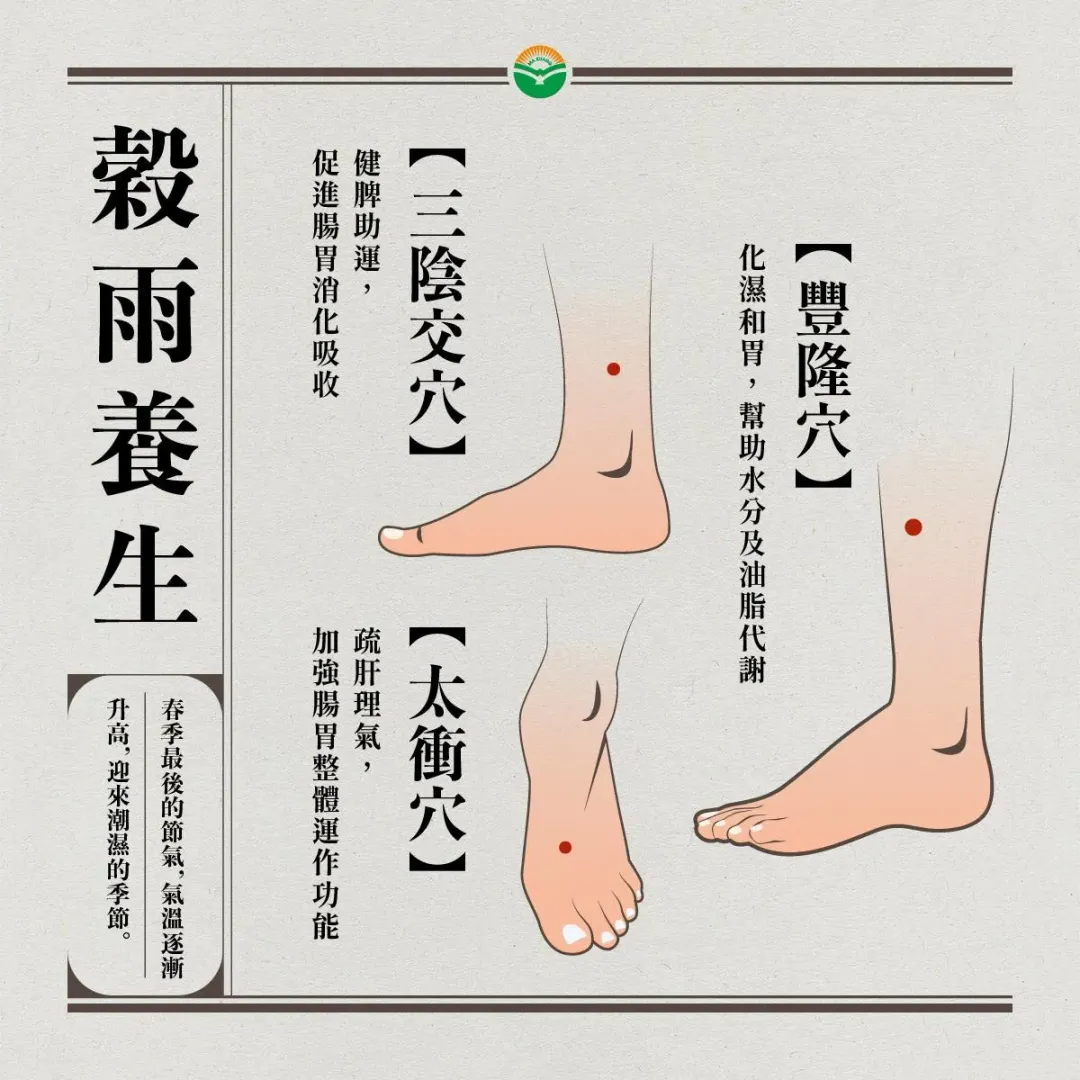 穀雨穴位保健。（圖／馬光中醫）