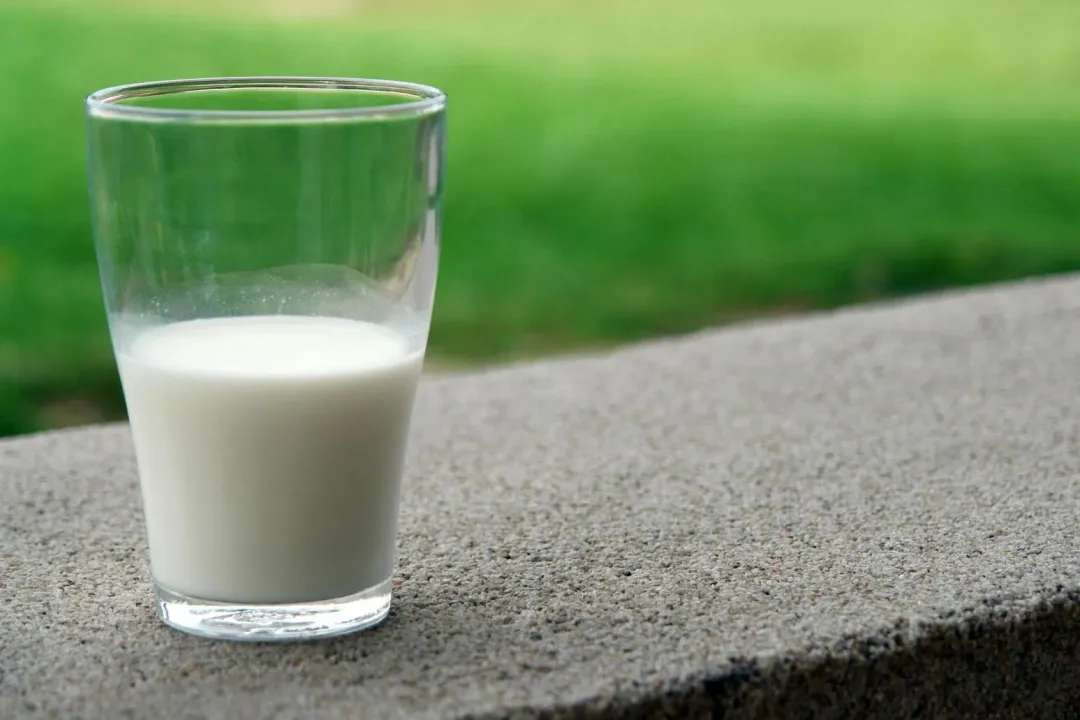 紐西蘭牛乳以零關稅方式進口台灣，但零售價格卻與國產牛乳相差無幾。（示意圖／pexels）