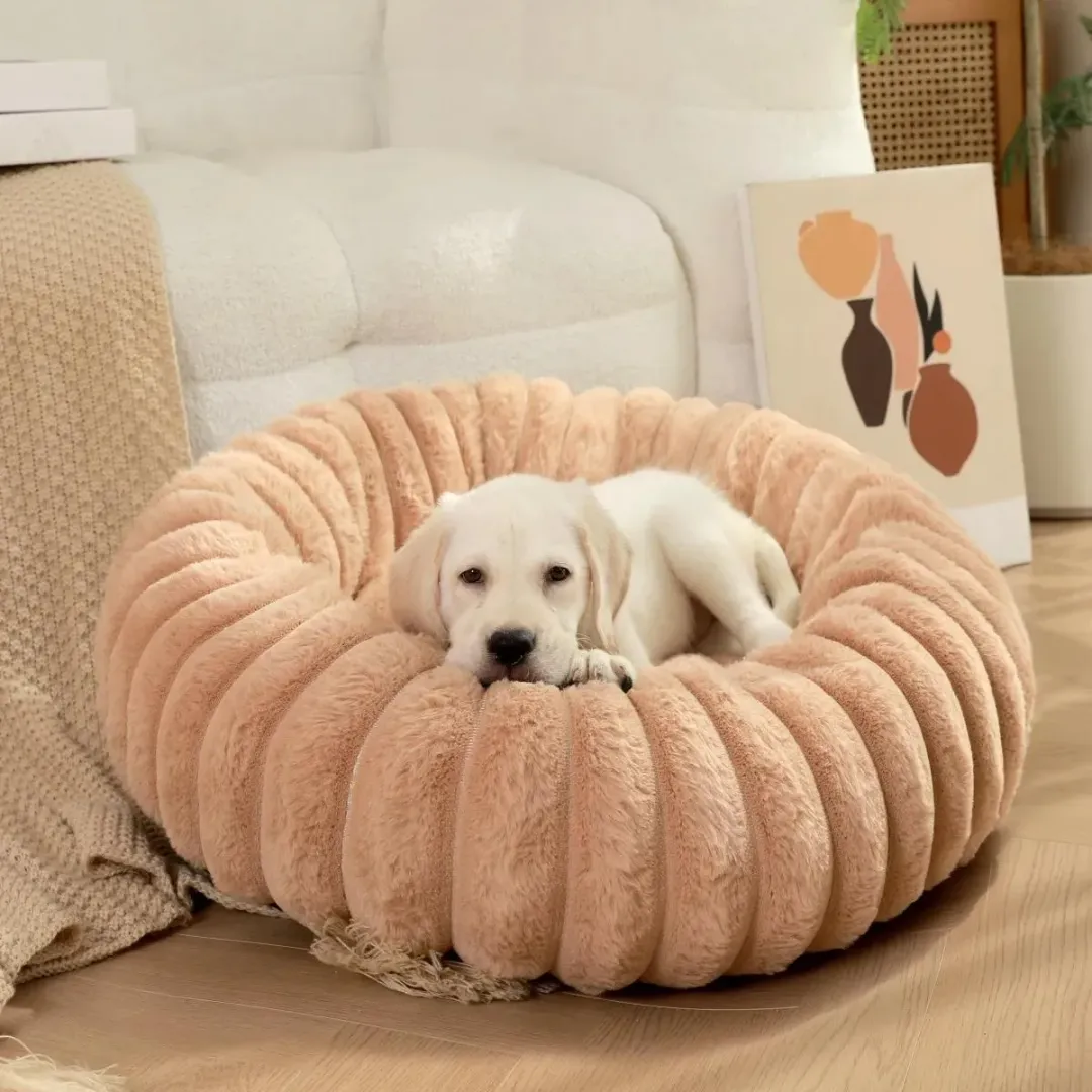 美國消費者偏愛大陸生產的寵物用品。(圖/翻攝X@dhgate)