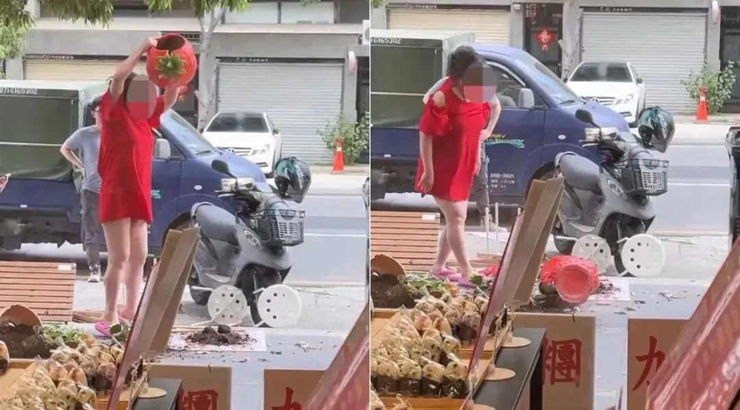 女房東砸日本飯糰店盆栽。(資料圖/翻攝畫面)
