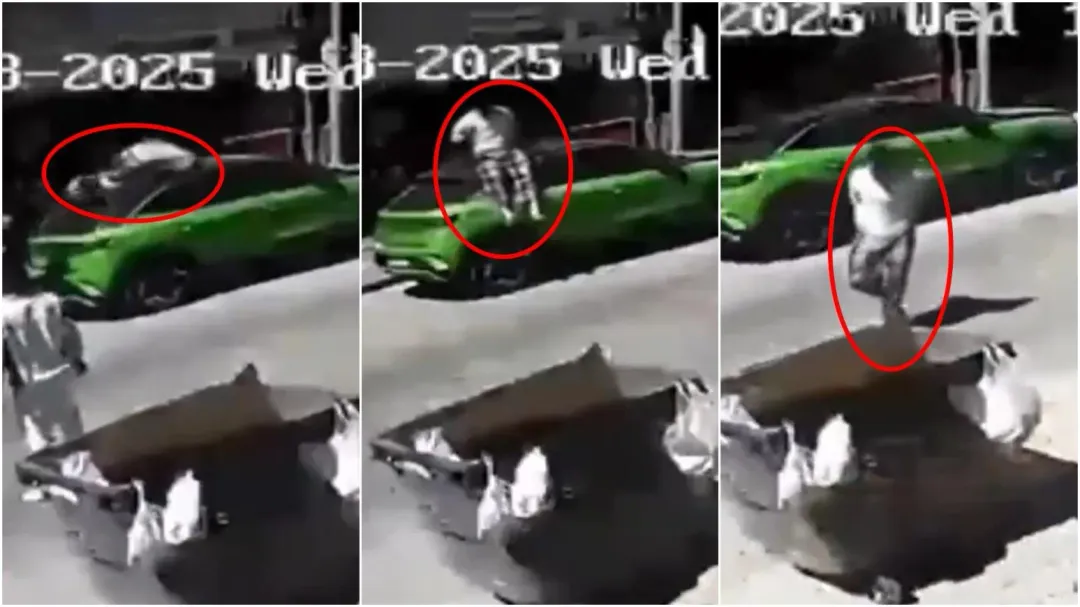 地震當時土耳其有男子從樓上跳下逃生。(圖/翻攝X)