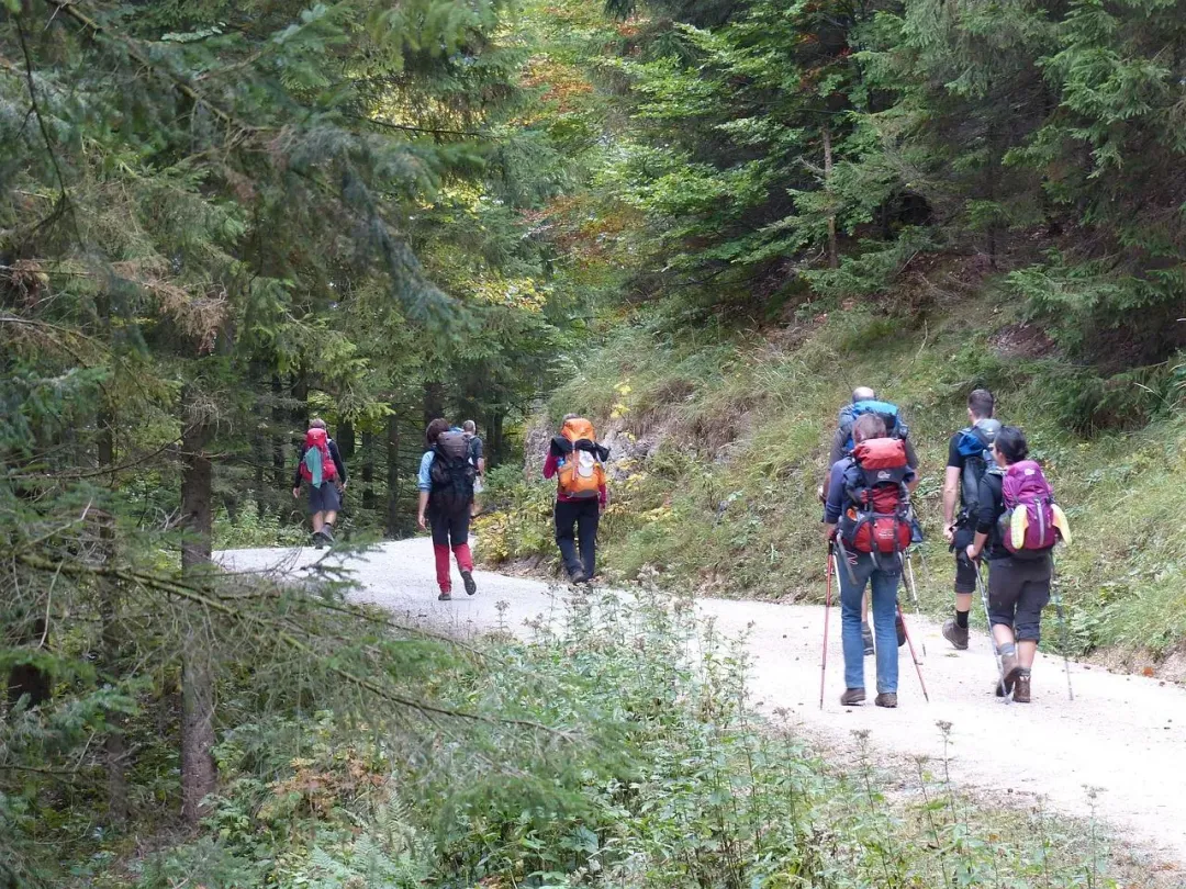 近年不少民眾熱愛戶外活動，如登山、露營、傍晚散步等，增加了遭蚊蟲叮咬的機會。（示意圖／Pixabay）
