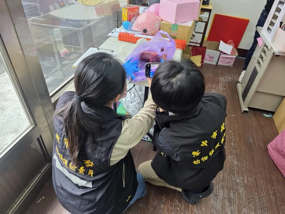 議員江和樹佈線取得違法販售毛小孩肉品，向動保處檢局促查。（圖／江和樹提供）