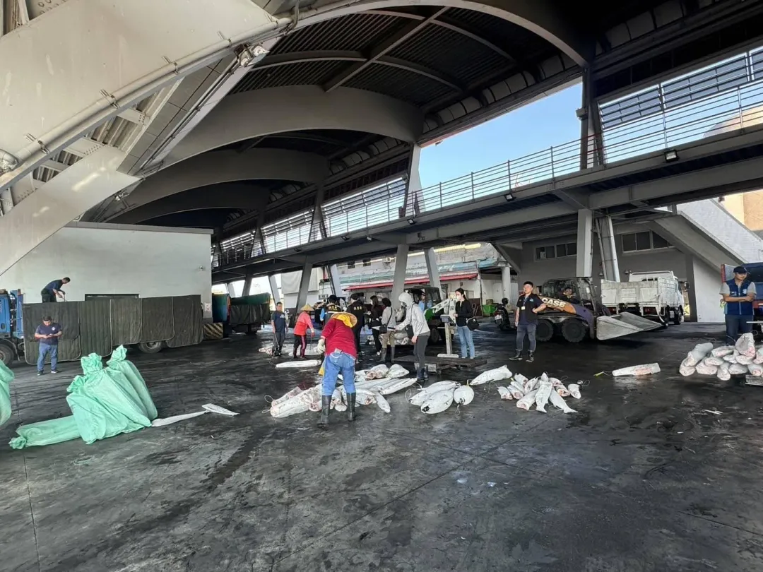 專案小組陸續清查「連○發」漁船魚獲。(圖/屏東地檢署提供)