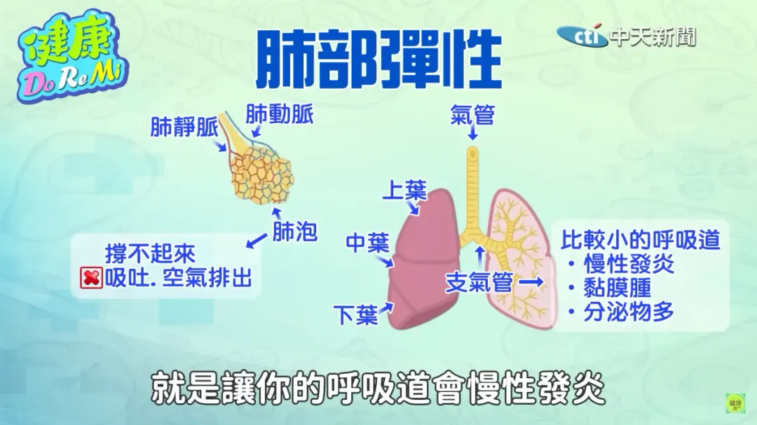 人體肺功能在20歲達到顛峰，之後就逐漸走下坡，嚴重時不僅呼吸困難，還會連帶引發心衰竭。（圖／健康Do Re Mi）