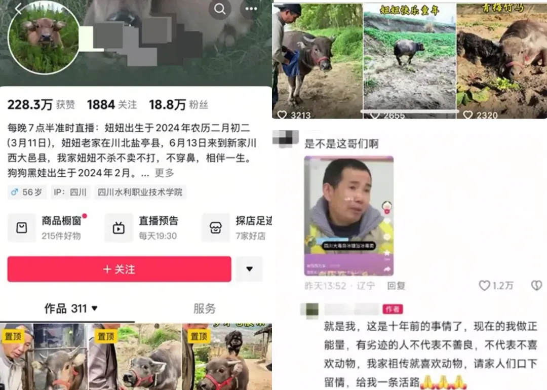 當事人社群帳號截圖。(圖/翻攝《極目新聞》)