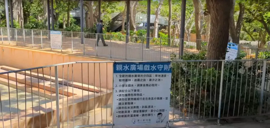 日前傳出有遊客在清水廣場與野生獼猴發生衝突。(圖/中天新聞)