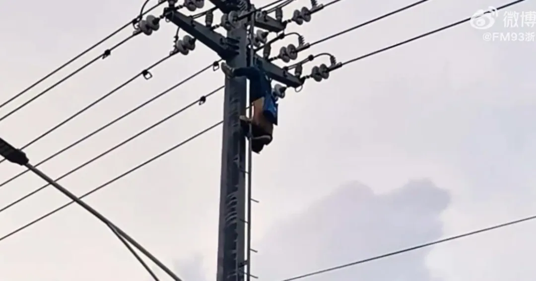 男子摘鳥窩被電暈倒掛半空中。（圖／翻攝微博）