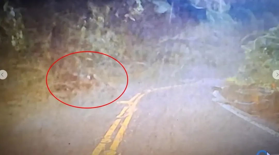 左側車道有數顆大石頭，當時仍可從右側車道通行，未料這竟是山崩前兆。（圖／翻攝自關西人）