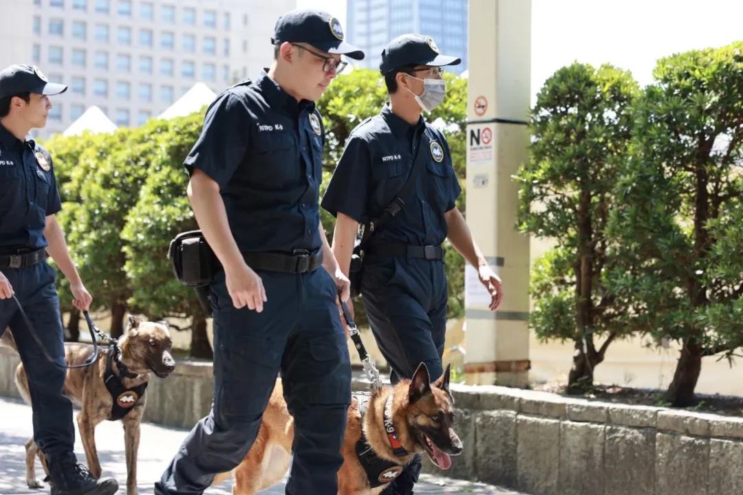 警方出動防暴犬在會場周邊維安。（圖／翻攝畫面）