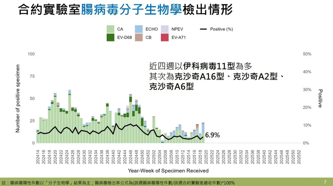 近四週實驗室監測顯示腸病毒以伊科病毒11型為多，其次為克沙奇A16型、克沙奇A2型及克沙奇A6型。（圖／疾管署）