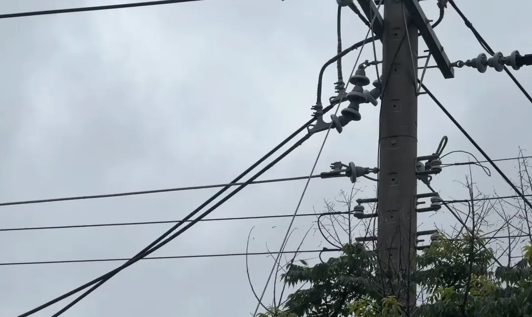 台電人員已經派員搶修。（圖／中天新聞）