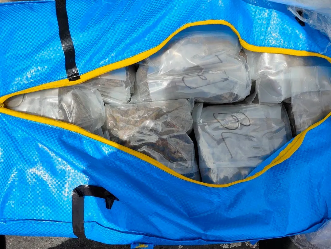 海巡署在「進O滿」號漁船密艙內搜出大量藍色防水袋,防水袋內夾藏402.8公斤的大麻。(圖/海巡署提供)