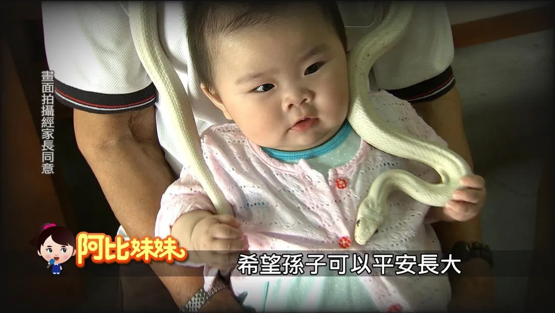 阿比妹妹說》，主持人林慧君親自走訪白蛇廟，揭開傳說與現實交會的奇妙信仰故事。（圖／中天新聞）