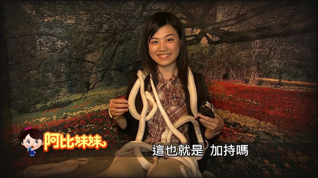 阿比妹妹說》，主持人林慧君親自走訪白蛇廟，揭開傳說與現實交會的奇妙信仰故事。（圖／中天新聞）