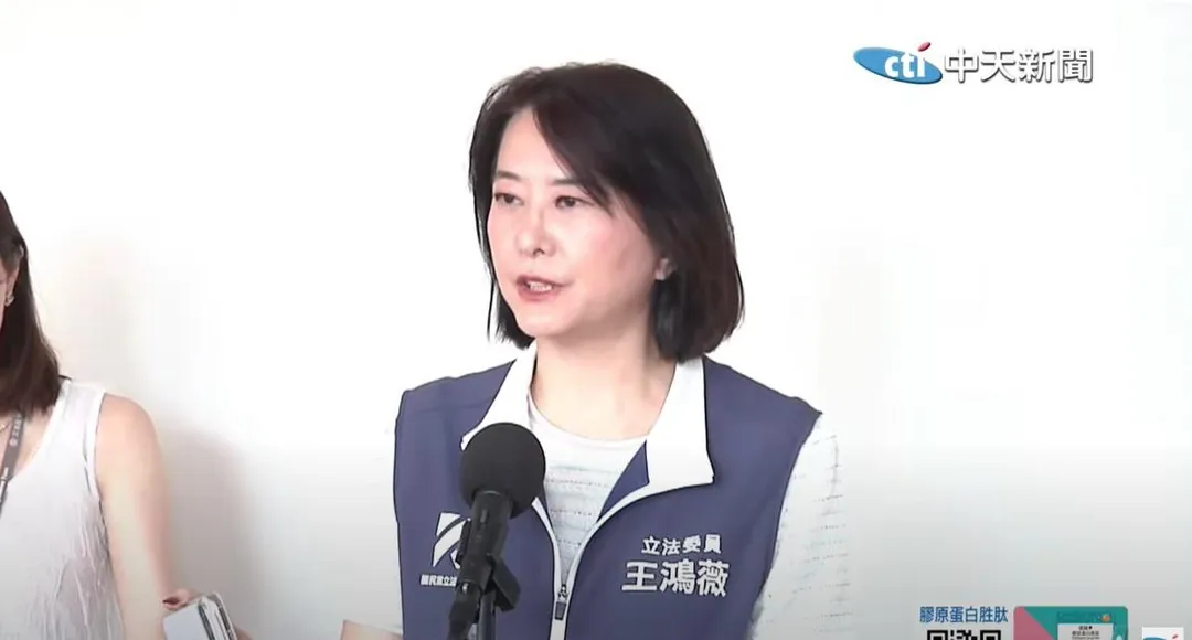 王鴻薇。（圖／中天新聞）