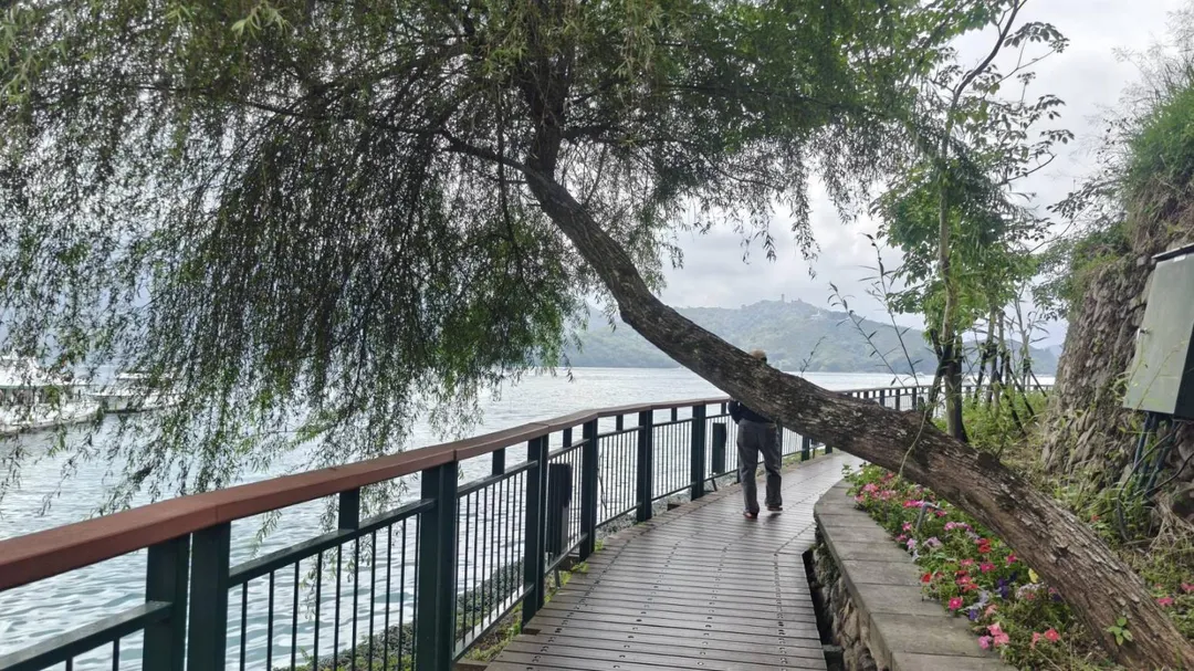 農曆春節及和平紀念日兩個連假期間遊客湧入，日月潭周邊將實施嚴格交通管制，以維持交通順暢。（資料照／翻攝畫面）