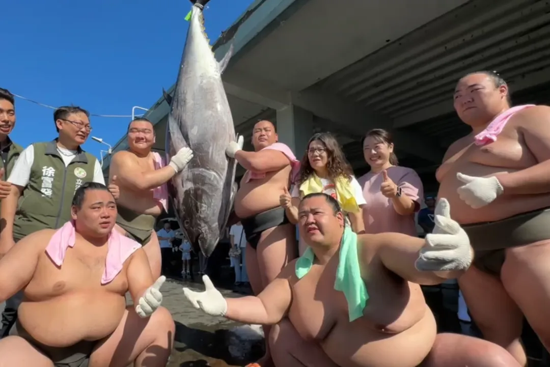 日本錣山部屋力士團應邀造訪台灣屏東，眾人挑戰試抬超大黑鮪魚。（圖／中天新聞）