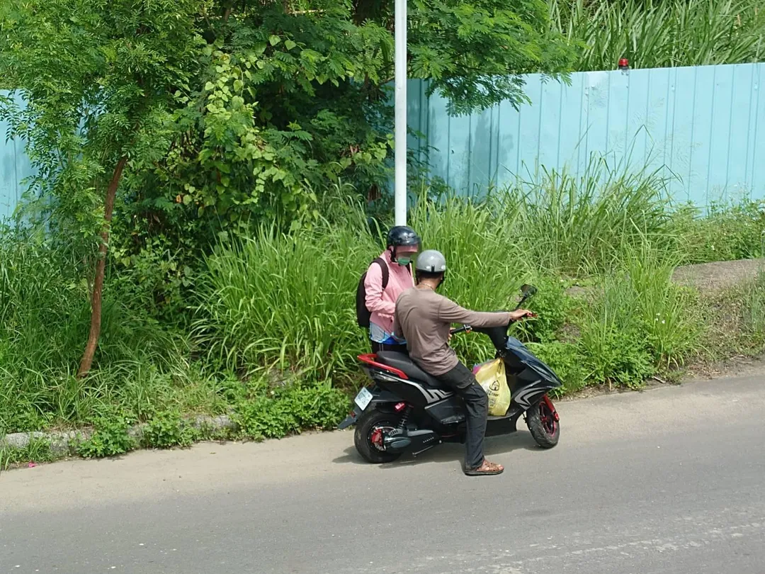 上千隻獨角仙遭外籍移工捕捉。（圖／米諾斯提供）