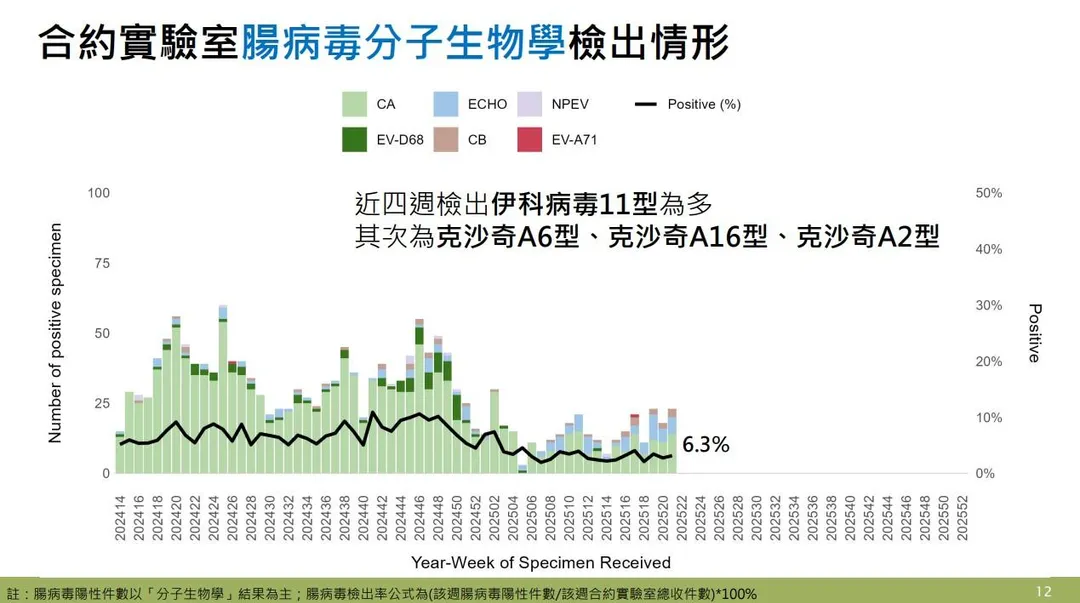 近四週實驗室監測顯示，腸病毒以伊科病毒11型最多，其次為克沙奇A6型、克沙奇A16型及克沙奇A2型。（圖／疾管署）