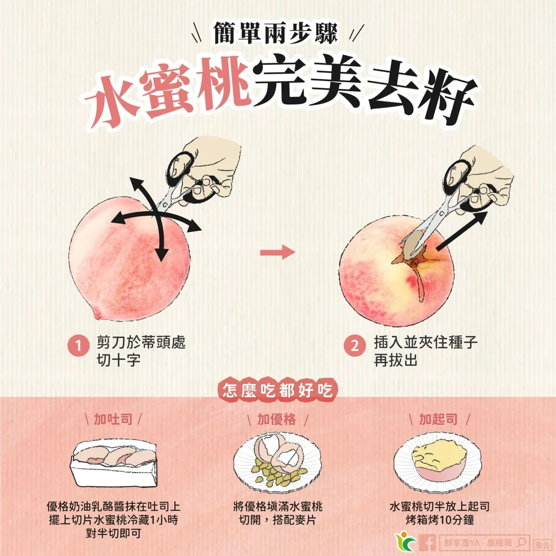 針對去籽步驟，農糧署建議，首先拿出剪刀在水蜜桃蒂頭處劃上「十」字，接著將剪刀插入果肉中夾住種子後拔出，就能輕鬆將果肉和籽分離。（圖／翻攝自鮮享農YA - 農糧署）