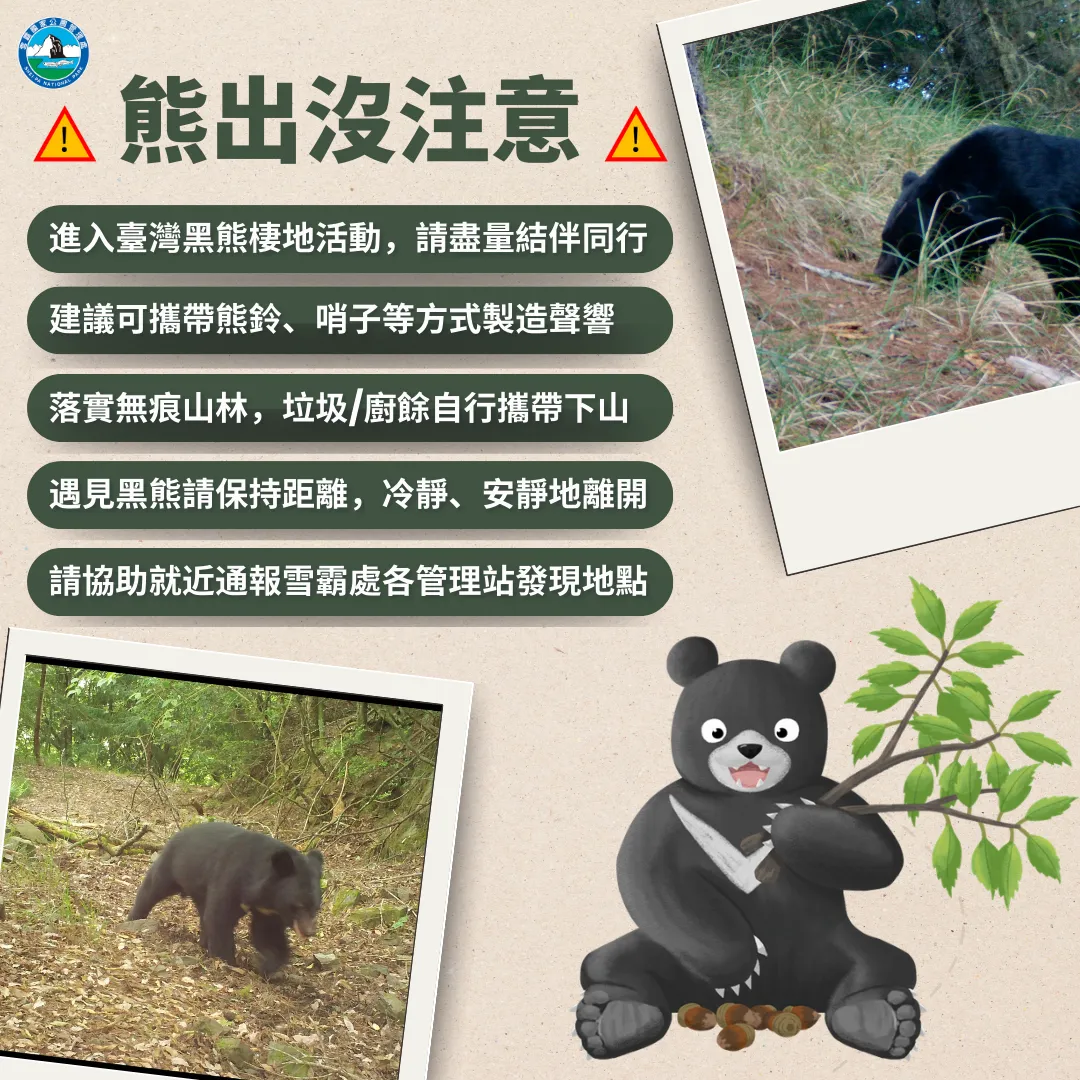 登山遇見熊時要注意！（圖／翻攝畫面）