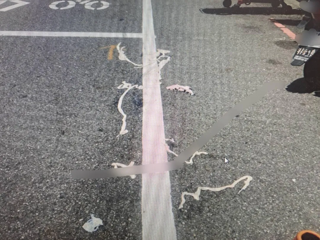 滿滿豬大腸散落路面。（圖／警方提供）