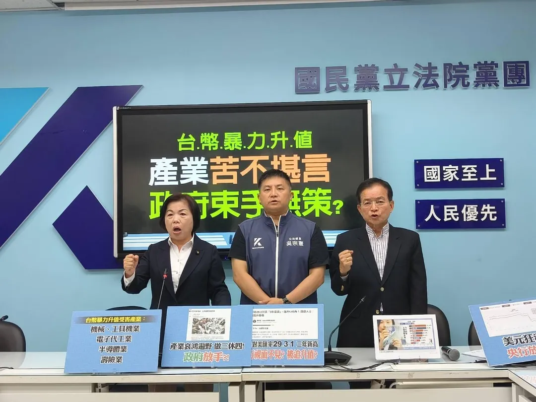 國民黨團舉行記者會,砲轟賴政府漠視新台幣暴力升值,造成許多台灣出口商慘賠。左起楊瓊瓔、吳宗憲、賴士葆。(圖/國民黨立院黨團提供)