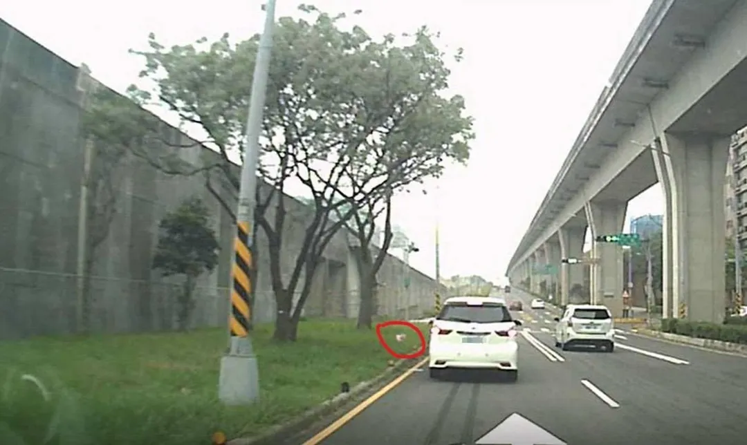 民眾開車亂丟垃圾被拍到。(圖/桃園市環保局提供)