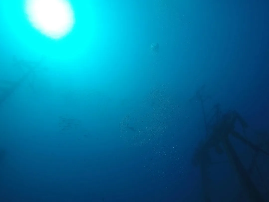 南韓今年5度捕獲稀有深海魚。(示意圖/unsplash)