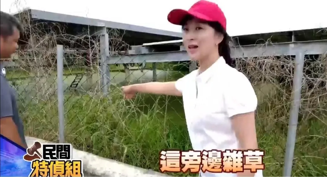 《民間特偵組》主持人賴麗櫻走訪台南麻豆「魚電共生」現場。（圖／中天新聞）