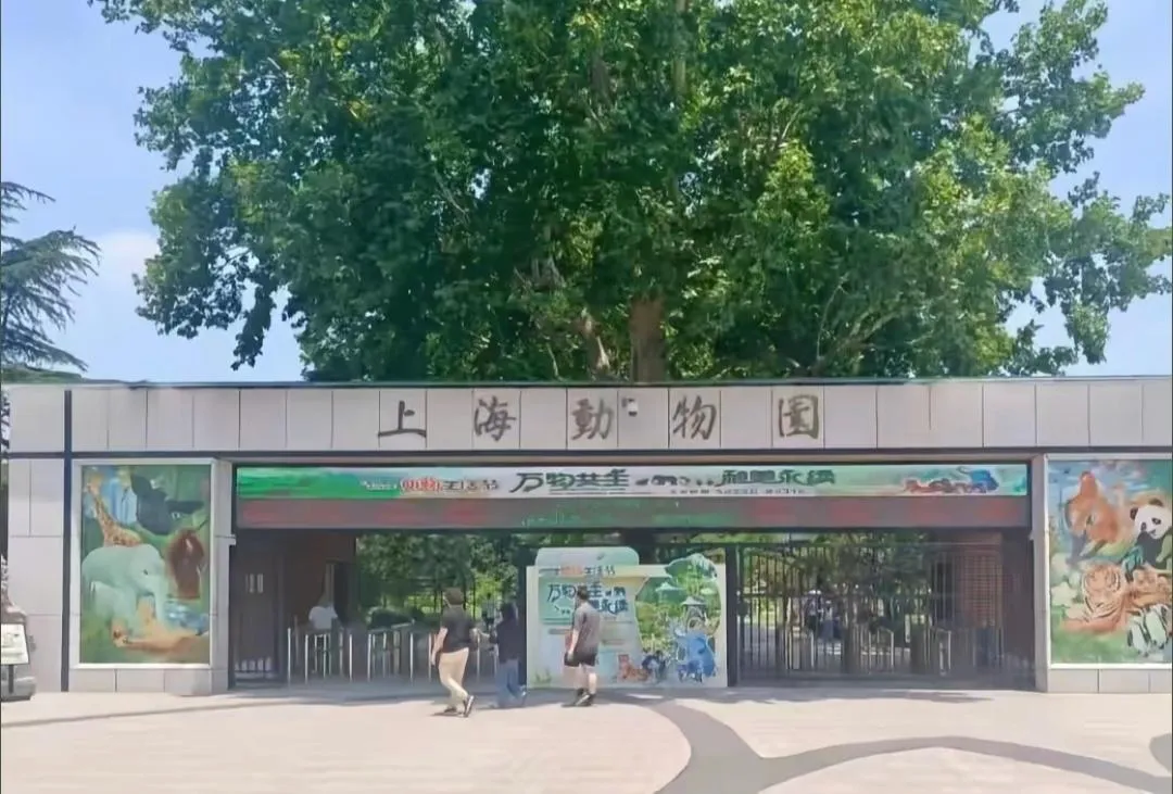 大陸一對夫婦日前帶著10個月大的嬰兒參觀上海動物園。（資料照／翻攝自微博）