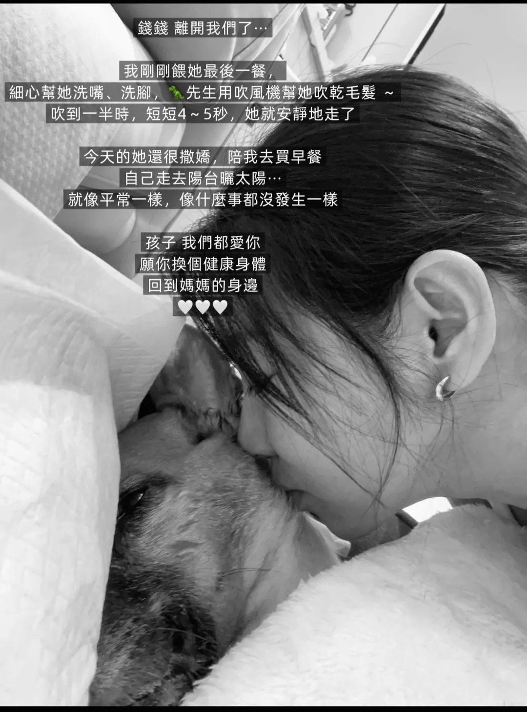 米可白愛犬錢錢去當小天使了。(圖/翻攝自米可白 臉書)
