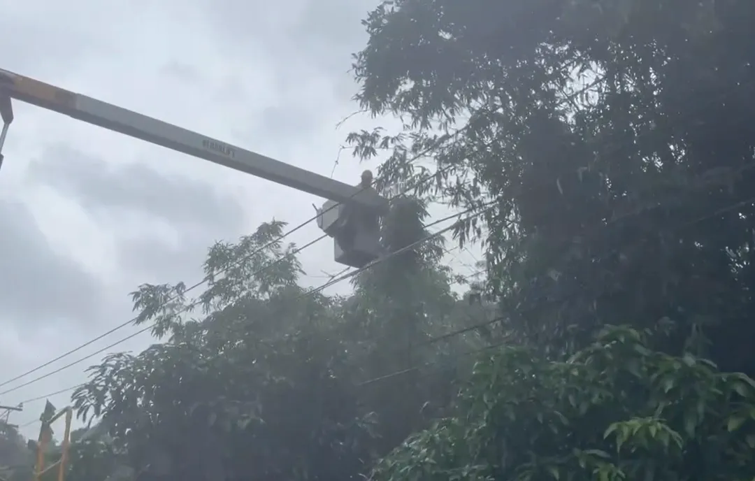 台電人員6日到高雄市燕巢區、那瑪夏區進行預防性樹修。（圖／台電提供）