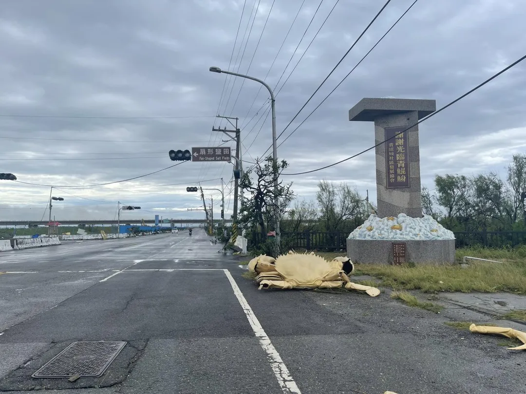 台南青鯤鯓「螃蟹」掉地上。（圖／讀者提供）