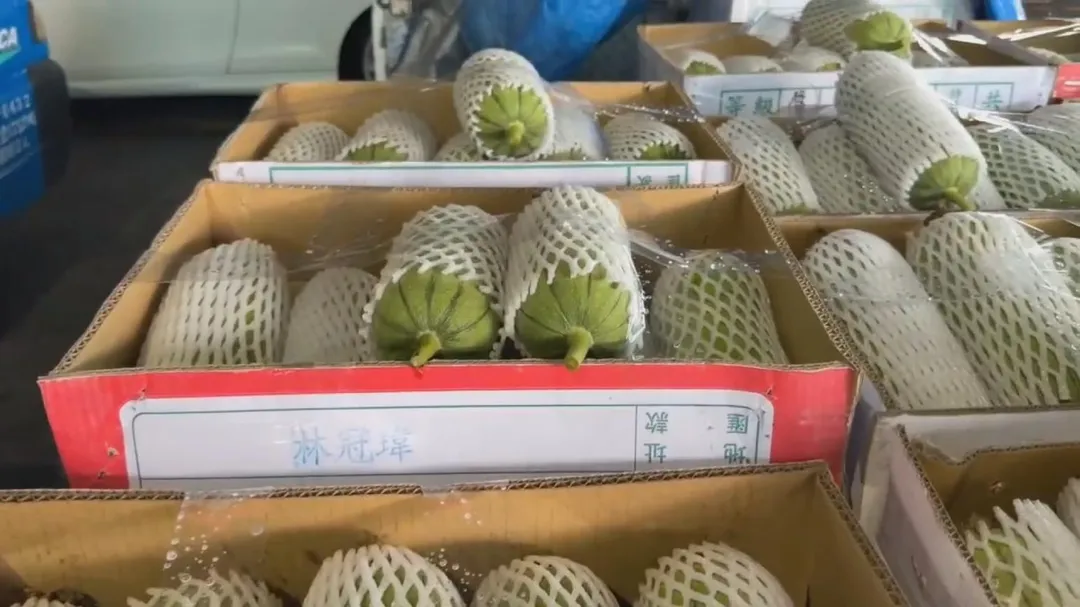 彰化溪湖果菜市場絲瓜從每公斤20元漲至30元。（圖／中天新聞）