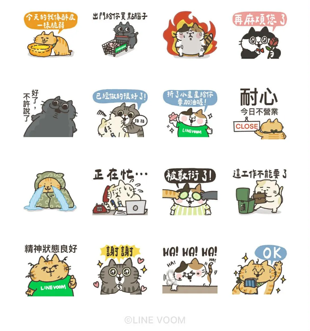 LINE VOOM × 耍廢貓的日常(圖/LINE)